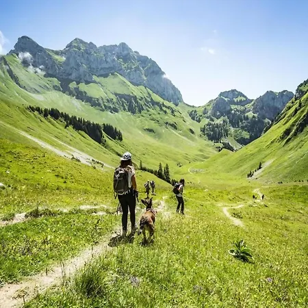 In Near Area * Chatel