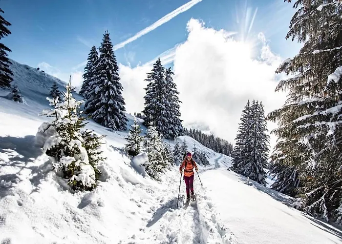 In Near Area * Châtel